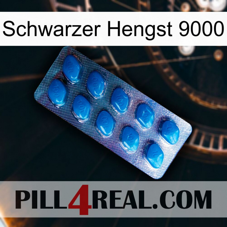 Black Stallion 9000 viagra1